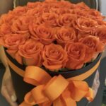 WhatsApp Görsel 2025-09-12 saat 14.52.00_8958701a